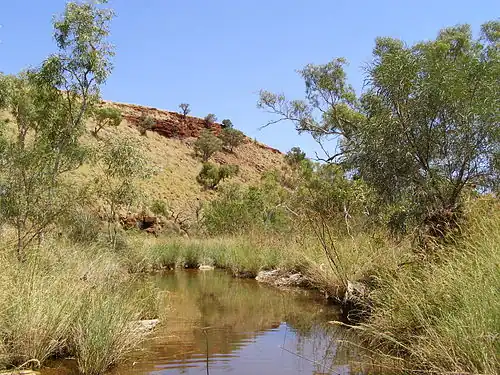Hamersley Range, Pilbara region