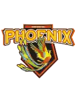 Henan Phoenix logo