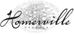 Official logo of Homerville, Georgia