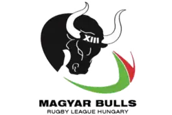 Badge of Hungary team