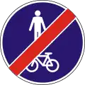 D-028 End of shared pedestrian and cycle path (no separation)