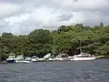 Boats moored in a bay with trees in the background
