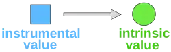 Diagram with a box labelled "instrumental value" and an arrow pointing to a circle labelled "intrinsic value"
