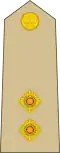 Lieutenant (Jamaican Army)[42]