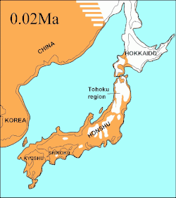 Japanese archipelago at the Last Glacial Maximum about 20,000 years ago, thin black line indicates present-day shorelines: