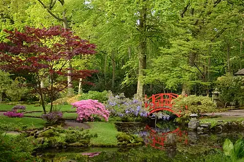 The garden in Spring