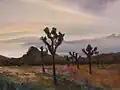 Joshua Tree Evening by David Fairrington, oil, 2001.