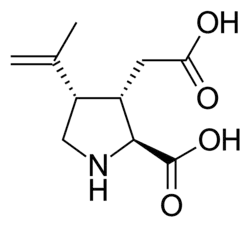 Stereo, skeletal formula of kainic acid