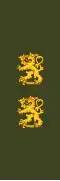 Kenraalimajuri (Swedish: Generalmajor) (Finnish Army)[28]