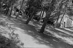 Palmach camp at Kfar Giladi. 1948