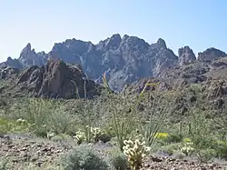 Kofa Mountains