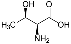 L-Threonine (Thr&nbsp;/&nbsp;T)
