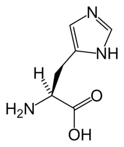 L-Histidine (His&nbsp;/&nbsp;H)