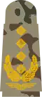 General (flecktarn)