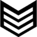 LC-3 Able Cadet Sleeve Insignia
