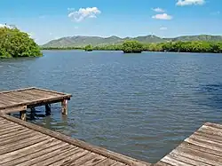 Lagoon with mangrove in Boquerón, Cabo Rojo.