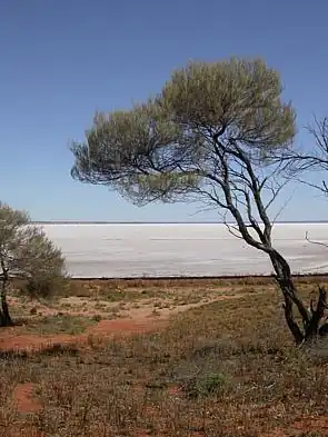 The dry lake and shore of Lake Hart, an endorheic desert lake in South Australia.