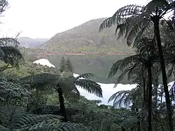 View of Lake Rotokākahi June 2011