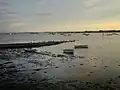Langstone Harbour