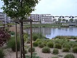 Promenade Helen and Victor Basch, Les Minimes student village