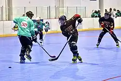 Inline hockey using a puck is governed by World Skate