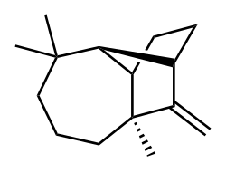 Longifolene, a polycyclic terpene natural product, and an example of a tricyclic molecule (non-aromatic).