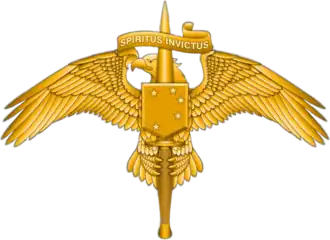 MARSOC Insignia