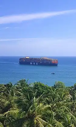 A container ship, seen over a stand of palm trees
