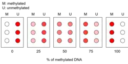 diagram of methylation specific olignonucleotide microarray that would be used to make a calibration curve