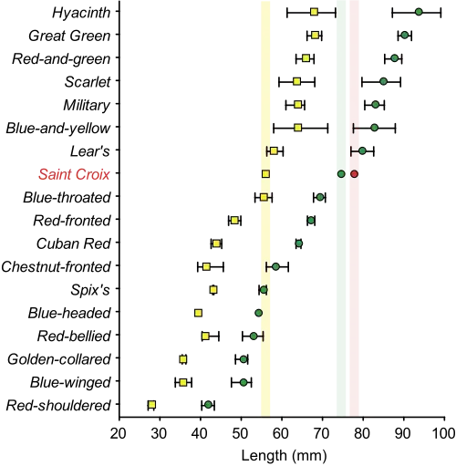 Diagram showing macaw bone measurements plotted into a graph