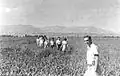 Members of kibbutz Maoz on a training field trip. 1947