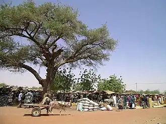 The Gorom-Gorom market