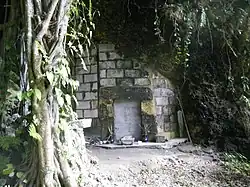 A stone brick wall and small entrance sealed by a stone inscription in a lush, overgrown environment