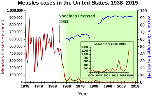 Measles cases 1938-1964 follow a highly variable epidemic pattern, with 150,000-850,000 cases per year. A sharp decline followed the introduction of the vaccine in 1963, with fewer than 25,000 cases reported in 1968. Outbreaks around 1971 and 1977 gave 75,000 and 57,000 cases, respectively. Cases were stable at a few thousand per year until an outbreak of 28,000 in 1990. Cases declined from a few hundred per year in the early 1990s to a few dozen in the 2000s.