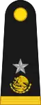 General de Grupo