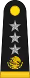 General de División