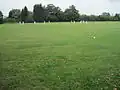 Cricket match