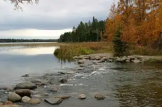 Headwaters of the Mississippi River at Itasca State Park.