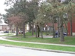 Two-story brick townhouses on a winding street, with pine trees and parked cars in foreground