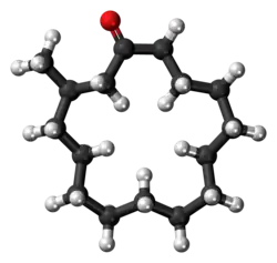 Ball-and-stick model of the muscone molecule