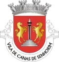 Coat of arms of Canas de Senhorim