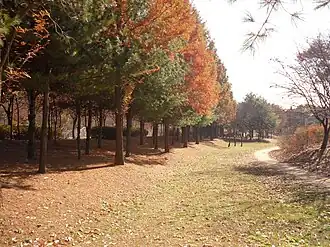 Nanjicheon Park