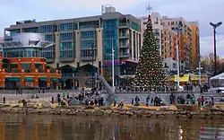 A Christmas Tree in National Harbor in 2011