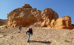 Sediments of Hermiin Tsav, a locality in the Barun Goyot Formation.