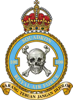 Squadron badge