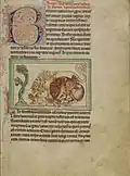 Lions licking cubs f.8r