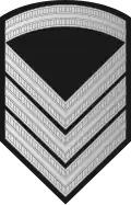 Oversersjant (Norwegian Army)[27]