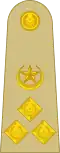 Brigadier (Urdu: بریگیڈیئر) (Pakistan Army)[23]