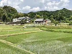 Paddy field in Iwanaka Town