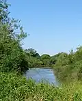 Old River Severn just west of the footbridge